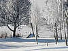 Wypoczynek na Suwalszczyźnie - nasz "las" w śnieżnej szacie i nasz pomost